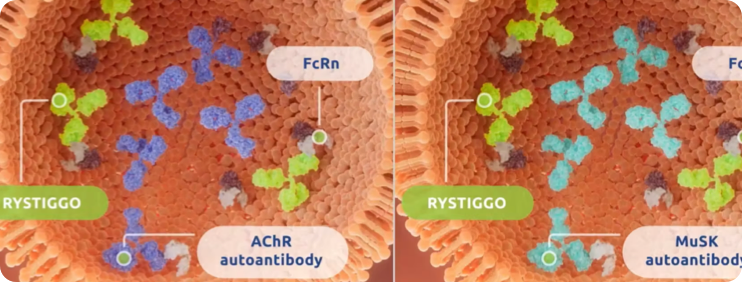 Mechanism of Action Video