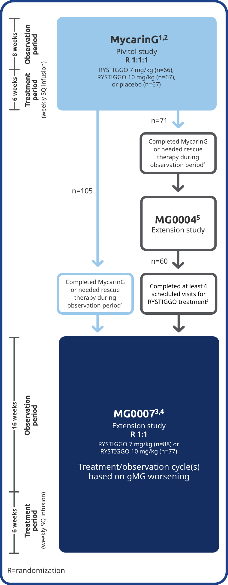 Graph describing two extension studies (MG0004 and MG0007) that were available to adult patients who participated in the MycarinG clinical trial to further evaluate the safety and efficacy of RYSTIGGO.