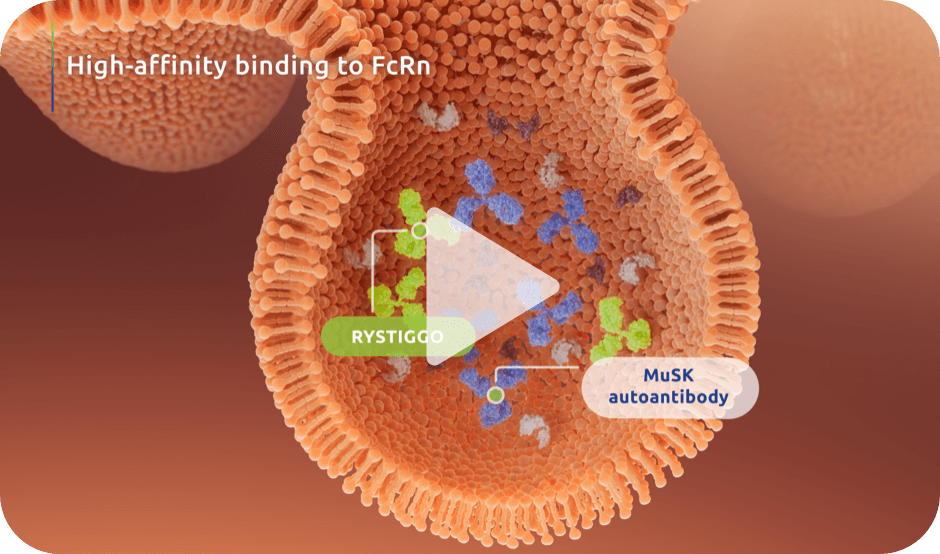 Watch the RYSTIGGO Mechanism of Action Video